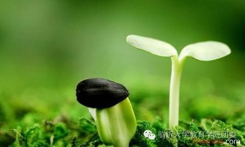 每天都超越自己一点点