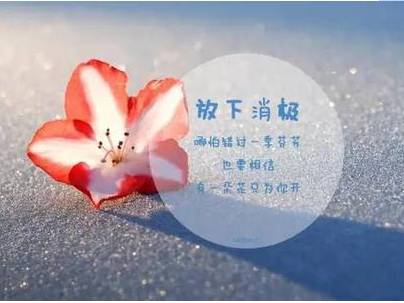 命是弱者的借口，运是强者的谦辞