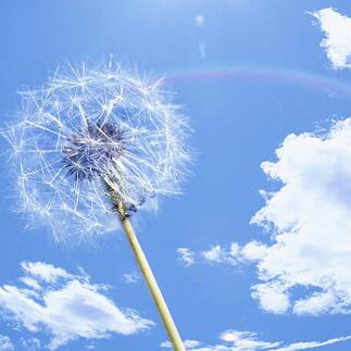 幸福就在进步和领悟之间