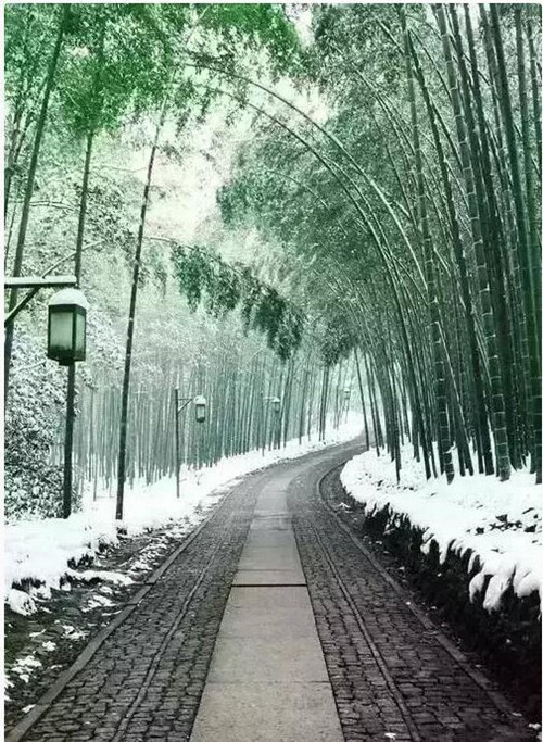 成功，就是在奋斗中把握机会